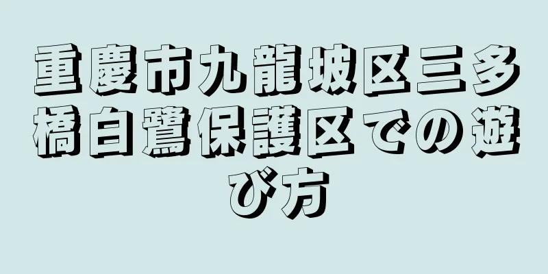 重慶市九龍坡区三多橋白鷺保護区での遊び方