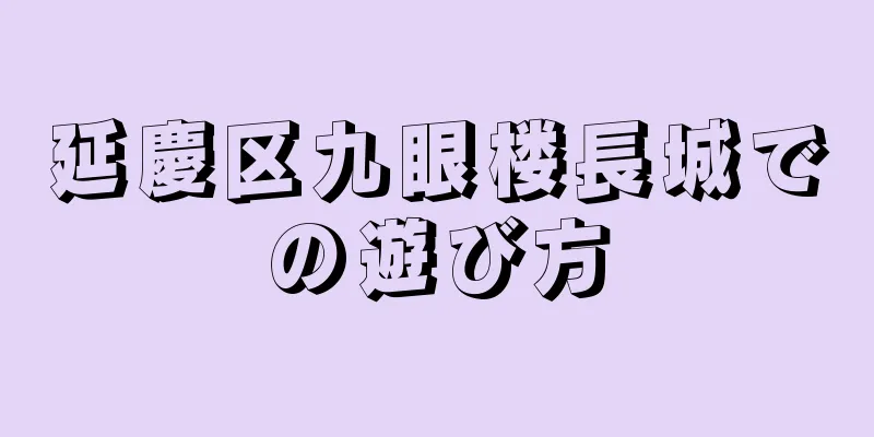 延慶区九眼楼長城での遊び方