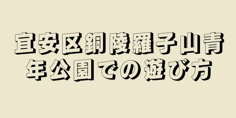 宜安区銅陵羅子山青年公園での遊び方