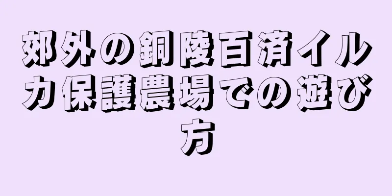 郊外の銅陵百済イルカ保護農場での遊び方