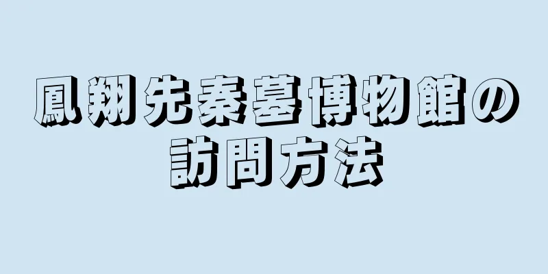 鳳翔先秦墓博物館の訪問方法