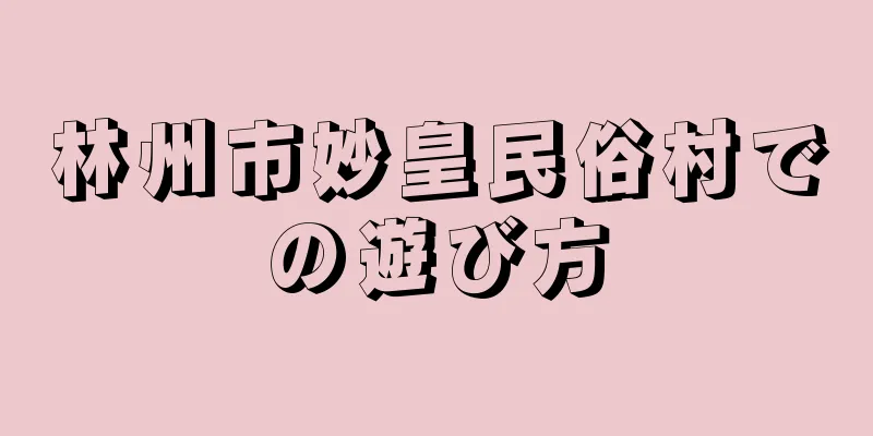 林州市妙皇民俗村での遊び方