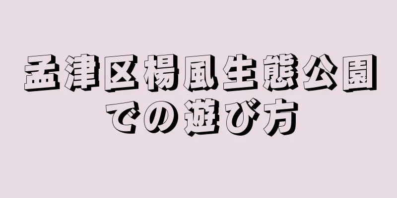 孟津区楊風生態公園での遊び方