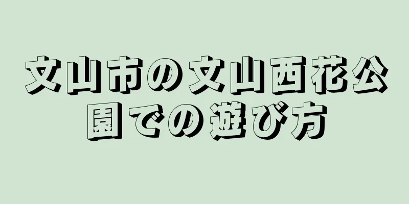 文山市の文山西花公園での遊び方