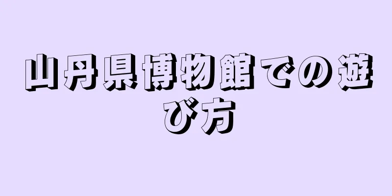 山丹県博物館での遊び方