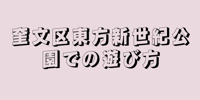 奎文区東方新世紀公園での遊び方