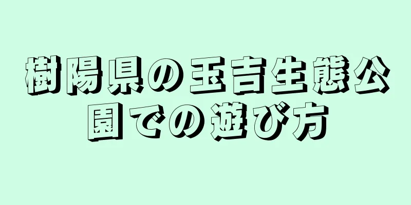 樹陽県の玉吉生態公園での遊び方