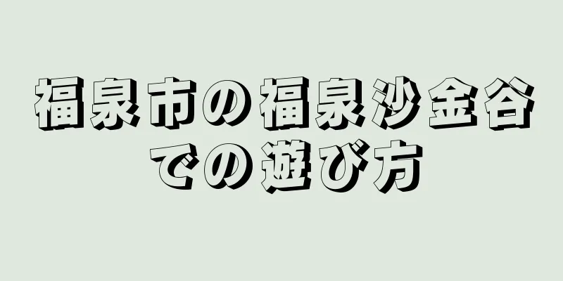 福泉市の福泉沙金谷での遊び方