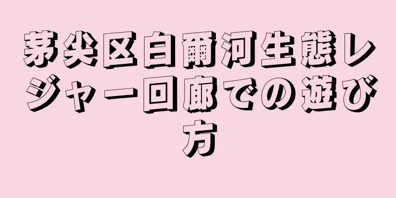 茅尖区白爾河生態レジャー回廊での遊び方