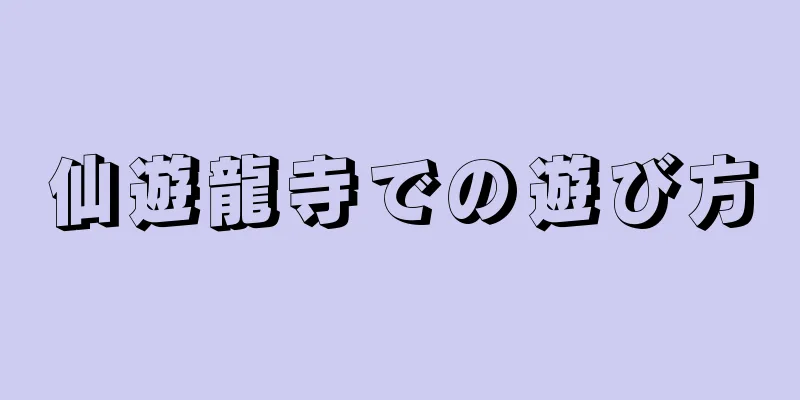 仙遊龍寺での遊び方
