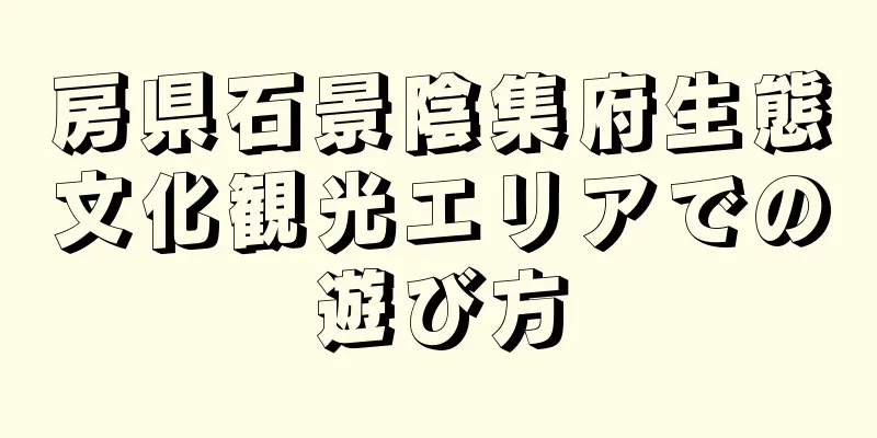 房県石景陰集府生態文化観光エリアでの遊び方