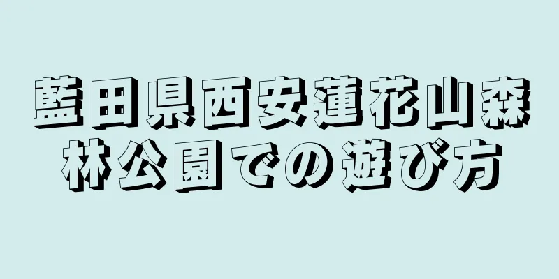 藍田県西安蓮花山森林公園での遊び方