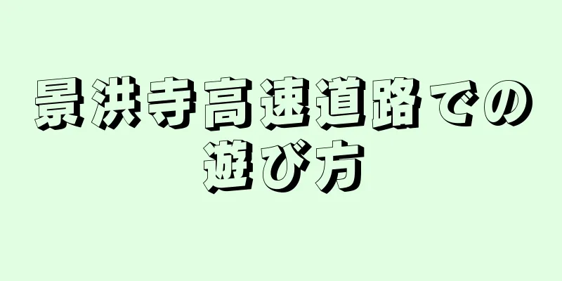 景洪寺高速道路での遊び方