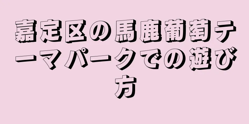 嘉定区の馬鹿葡萄テーマパークでの遊び方
