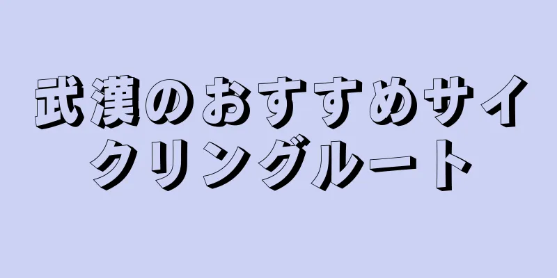 武漢のおすすめサイクリングルート