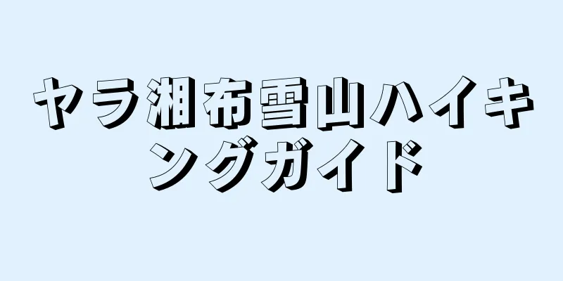 ヤラ湘布雪山ハイキングガイド