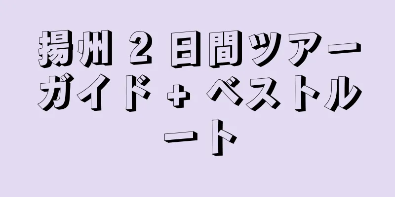 揚州 2 日間ツアーガイド + ベストルート