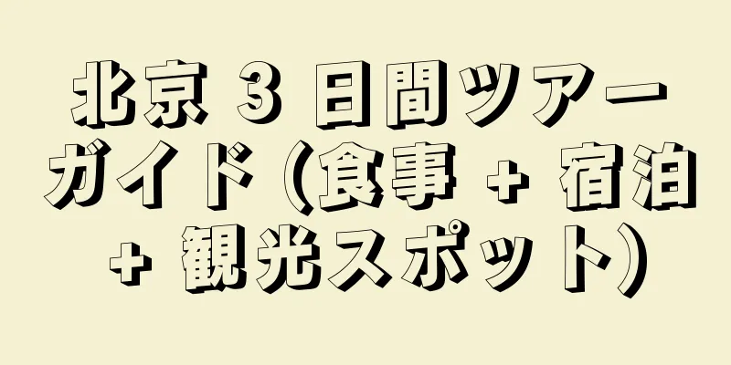 北京 3 日間ツアーガイド (食事 + 宿泊 + 観光スポット)