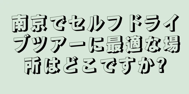 南京でセルフドライブツアーに最適な場所はどこですか?