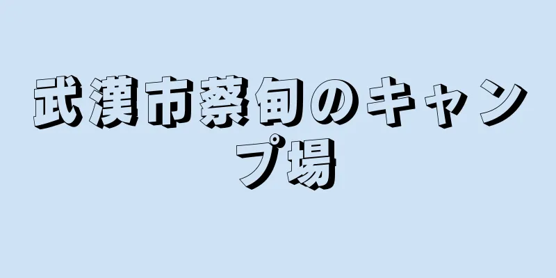 武漢市蔡甸のキャンプ場