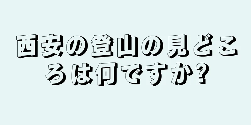 西安の登山の見どころは何ですか?
