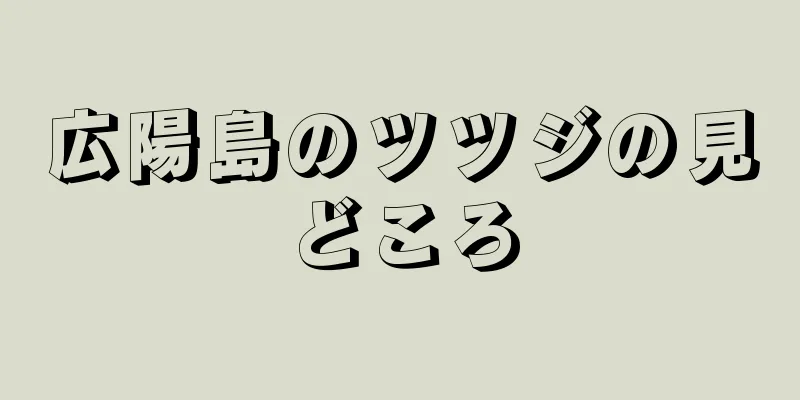 広陽島のツツジの見どころ