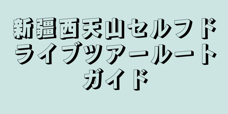 新疆西天山セルフドライブツアールートガイド