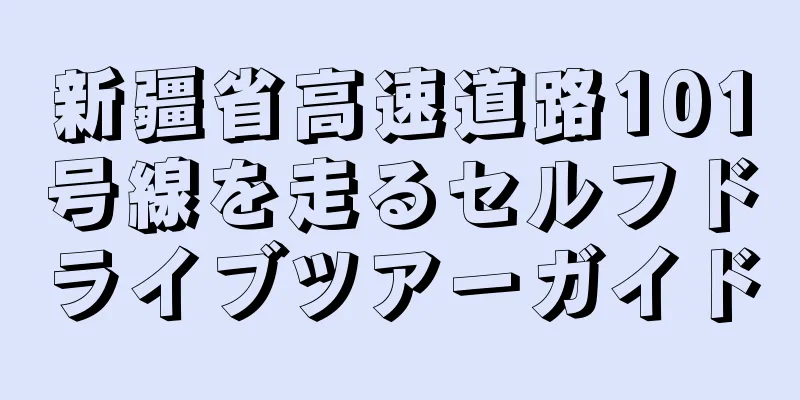 新疆省高速道路101号線を走るセルフドライブツアーガイド