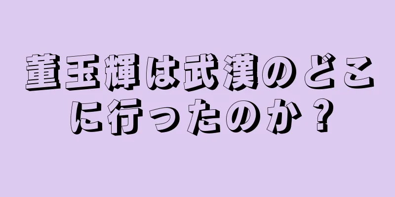 董玉輝は武漢のどこに行ったのか？