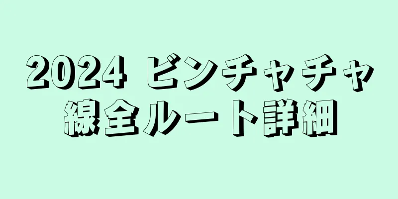 2024 ビンチャチャ線全ルート詳細