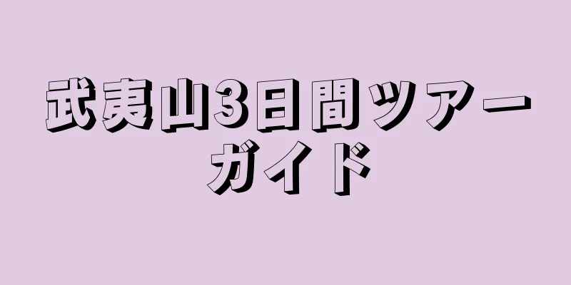 武夷山3日間ツアーガイド