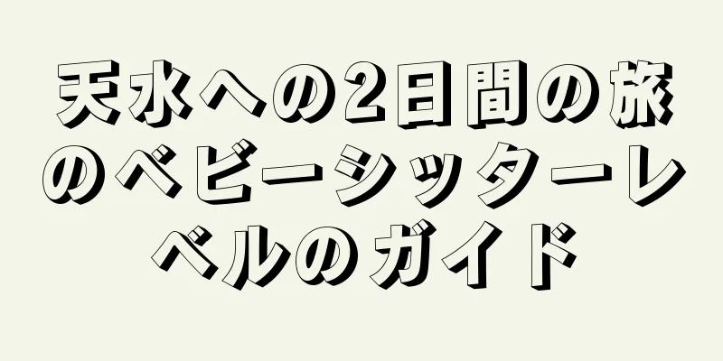 天水への2日間の旅のベビーシッターレベルのガイド