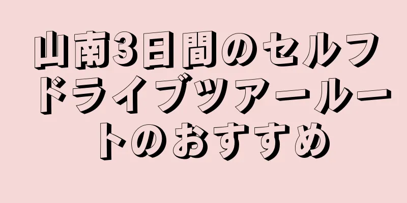 山南3日間のセルフドライブツアールートのおすすめ