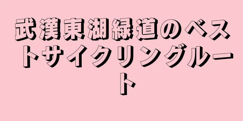 武漢東湖緑道のベストサイクリングルート
