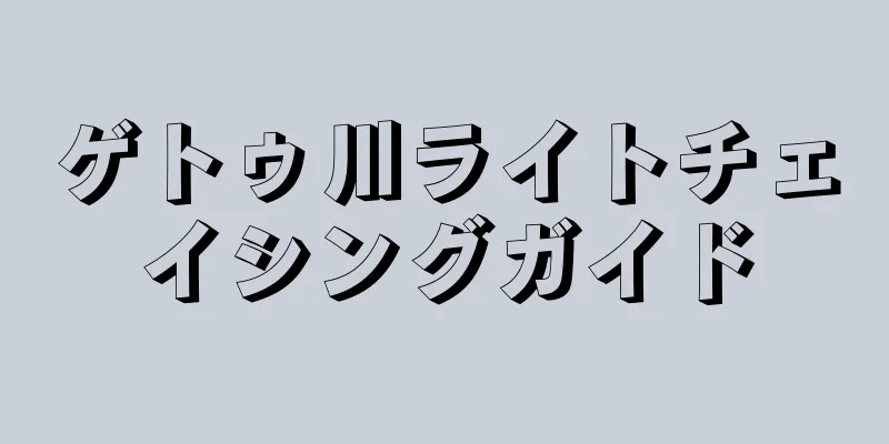 ゲトゥ川ライトチェイシングガイド