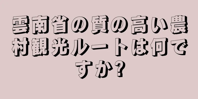雲南省の質の高い農村観光ルートは何ですか?