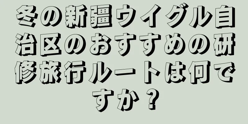 冬の新疆ウイグル自治区のおすすめの研修旅行ルートは何ですか？