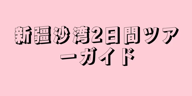 新疆沙湾2日間ツアーガイド