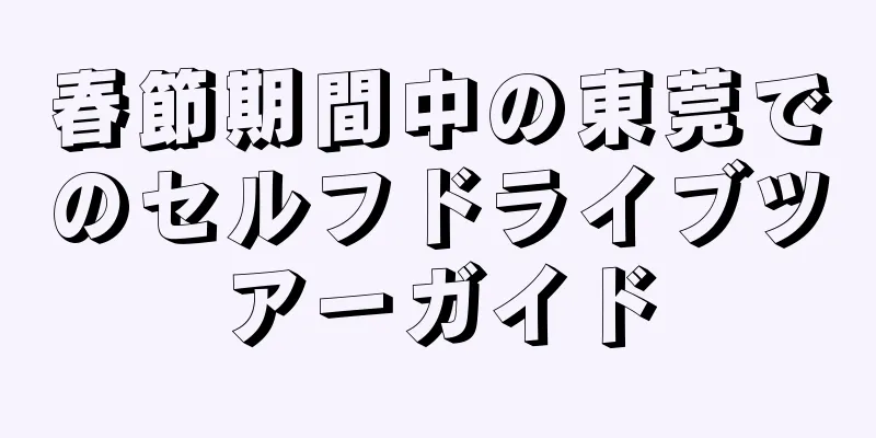 春節期間中の東莞でのセルフドライブツアーガイド
