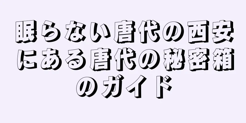 眠らない唐代の西安にある唐代の秘密箱のガイド