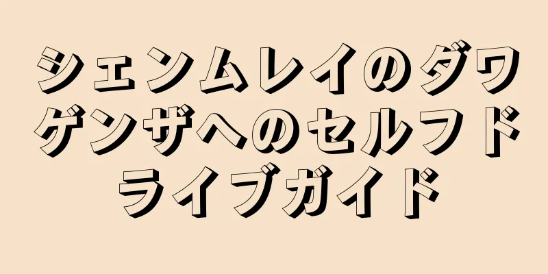 シェンムレイのダワゲンザへのセルフドライブガイド
