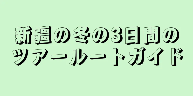 新疆の冬の3日間のツアールートガイド