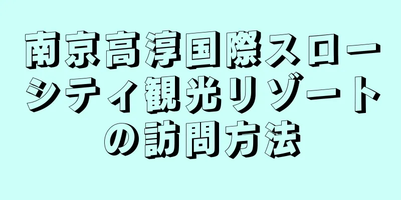 南京高淳国際スローシティ観光リゾートの訪問方法