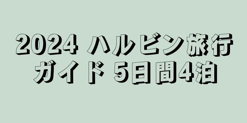 2024 ハルビン旅行ガイド 5日間4泊