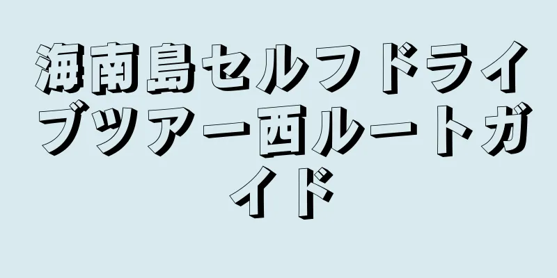 海南島セルフドライブツアー西ルートガイド