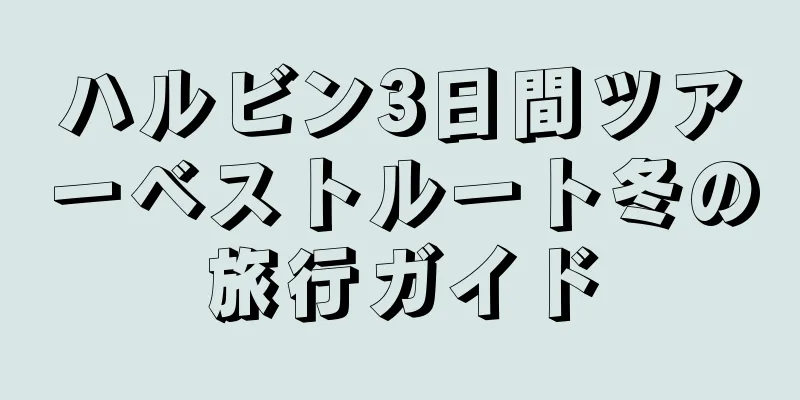 ハルビン3日間ツアーベストルート冬の旅行ガイド