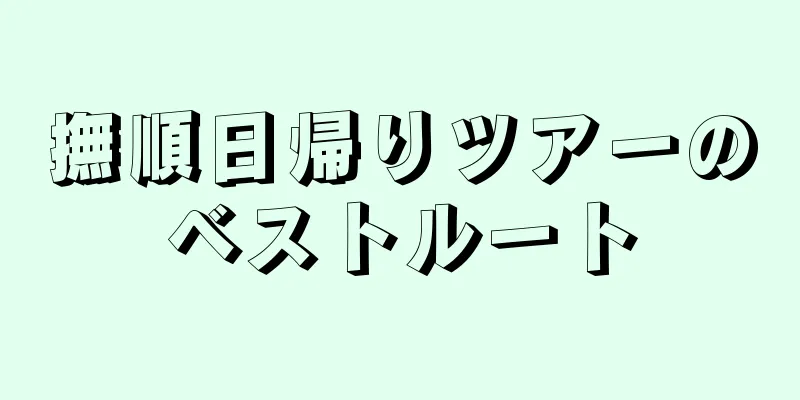 撫順日帰りツアーのベストルート