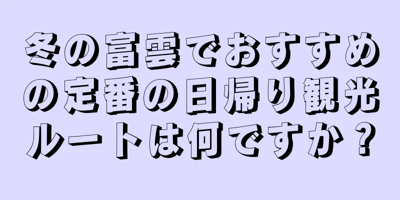 冬の富雲でおすすめの定番の日帰り観光ルートは何ですか？