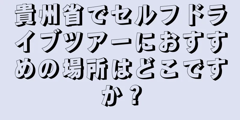 貴州省でセルフドライブツアーにおすすめの場所はどこですか？