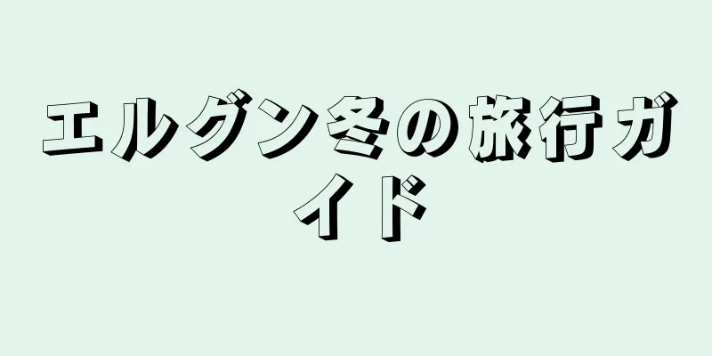 エルグン冬の旅行ガイド